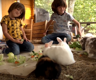 Zwei Kinder im Kaninchenstall