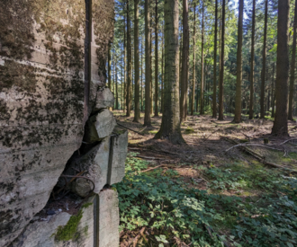 Bunkerreste mitten im Wald