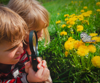 Zwei Kinder beobachten einen Schmetterling durch eine Lupe