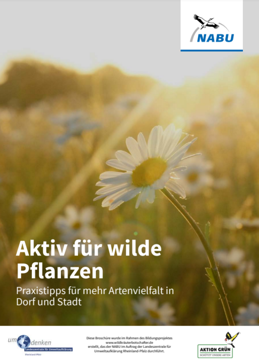 Cover der Wildkräuterbroschüre_Aktiv für wilde Pflanzen
