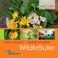 Cover der Wildkräuter-Broschüre