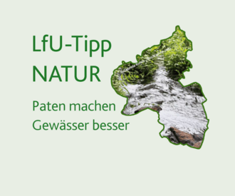 #FokusUmweltbildung - LfU-Tipp: Bachpatenschaft