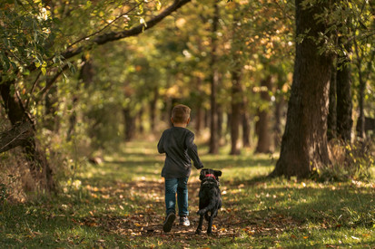 Hund und Kind im Wald