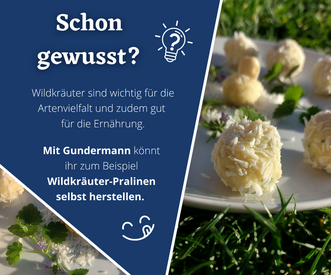 #SchonGewusst: Gundermann Wildkräuter-Pralinen