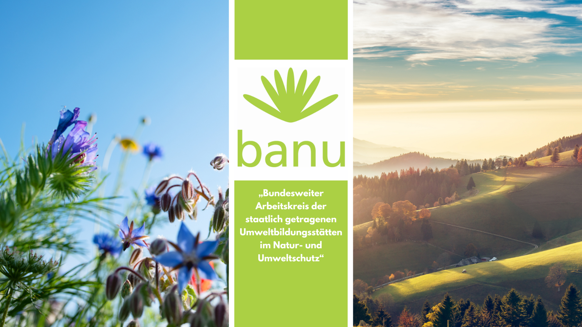 Logo des BANU