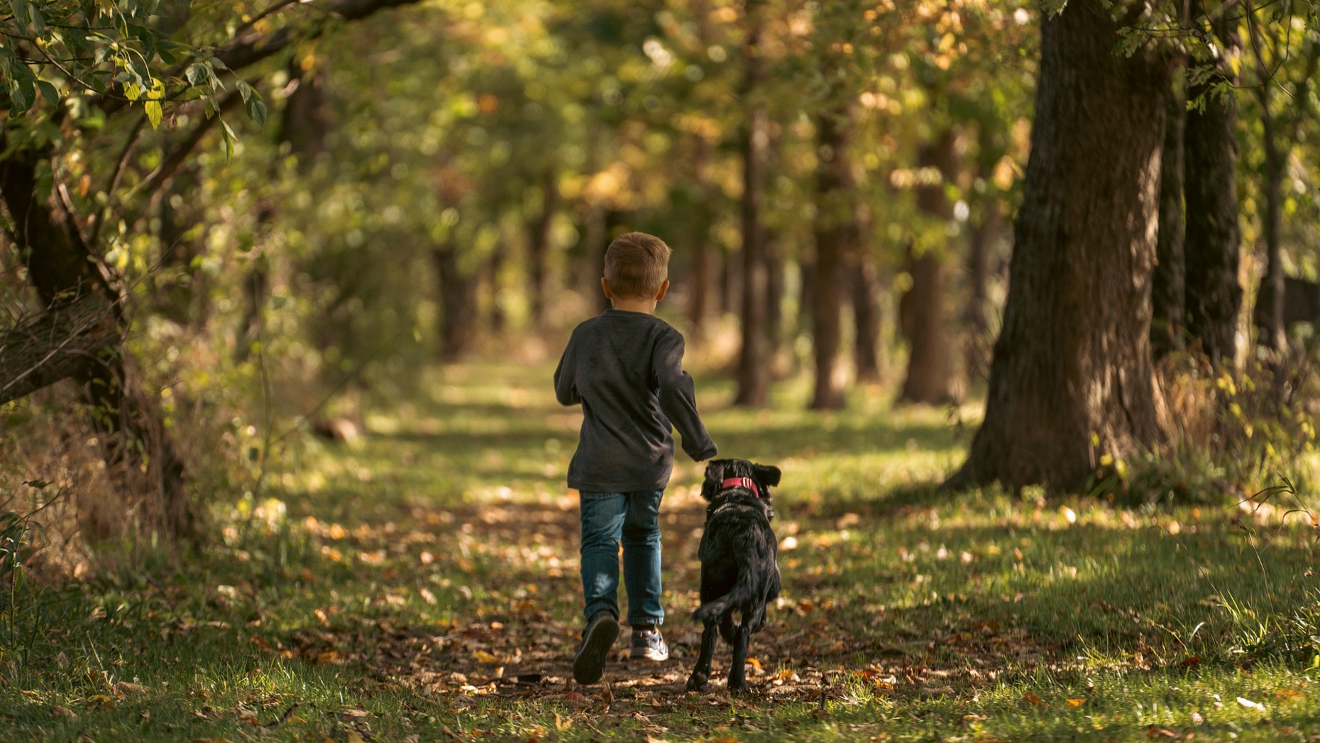 Kind und Hund rennen nebeneinander auf einem Waldweg