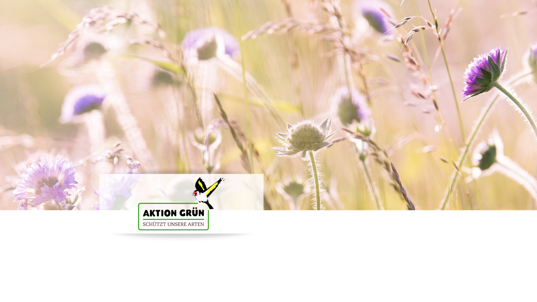 Wiesenblumen / Logo der Aktion Grün