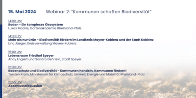 Programm Webinar 2: Kommunen schaffen Biodiversität der Webinarreihe "Die bodensensible Stadt" 2024
