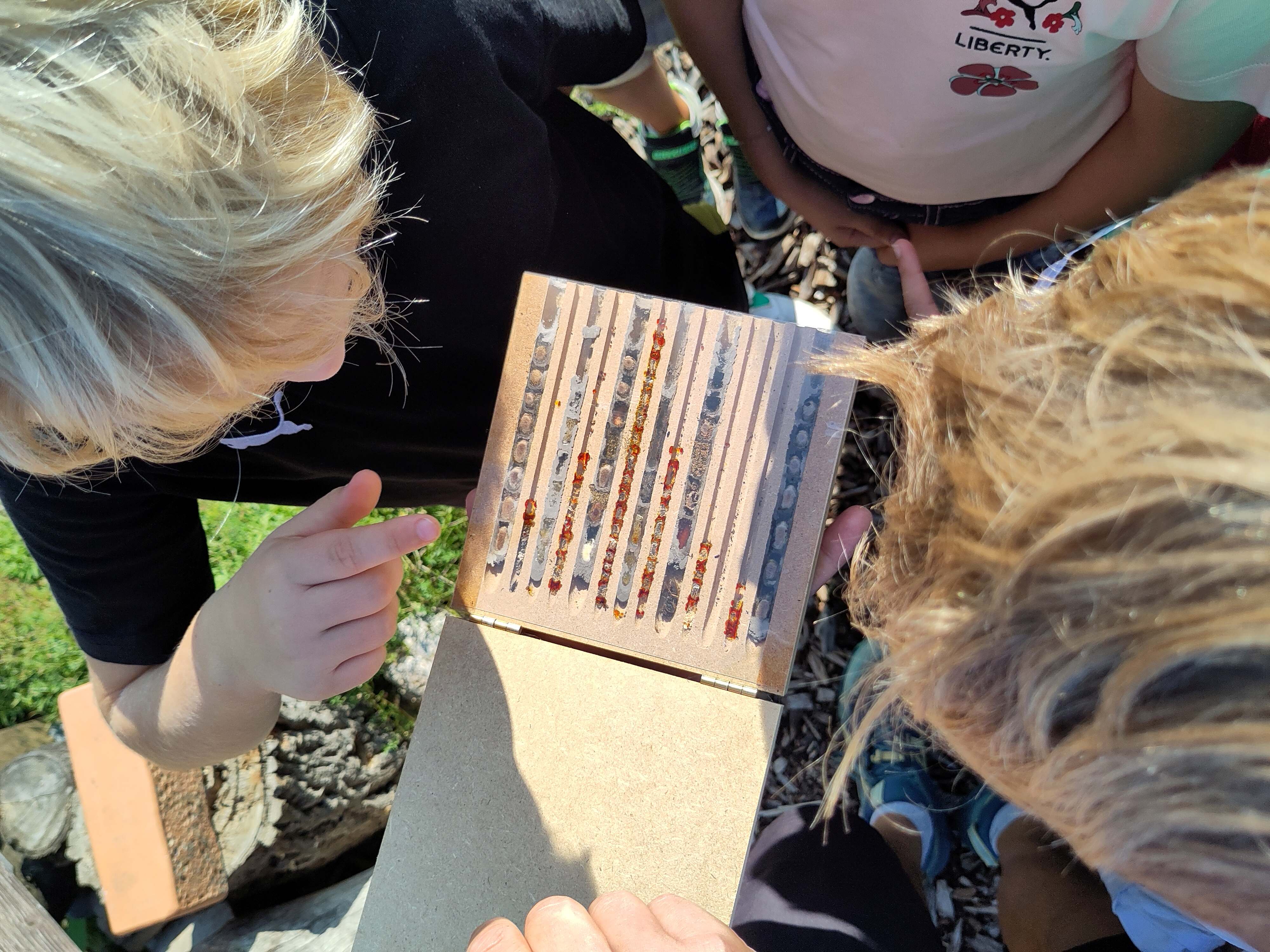 Kinder beugen sich über einen Schaukasten