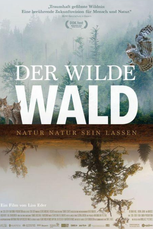 Filmplakat "Der wilde Wald"